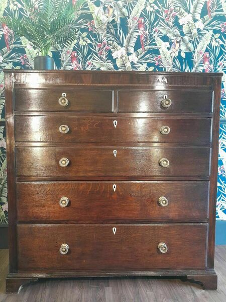 Large antique georgian oak chest of 6 drawers – A rare vintage treasure